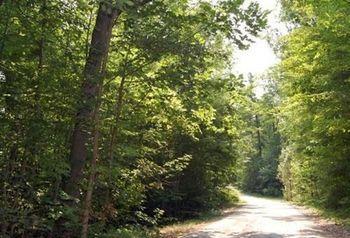 St. Clair Camping Resort Marysville Eksteriør billede